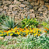 CNV000017.jpg