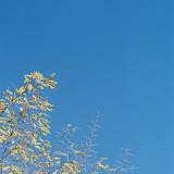 CNV000040.jpg