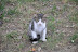 Kitten? Who's the kitten? You want a piece of me? Are you talking to me?