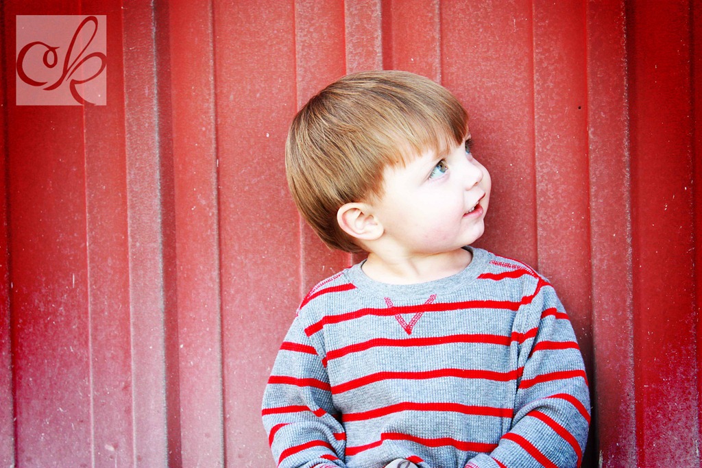 [ChristmasPhotos2010 251 copy[5].jpg]
