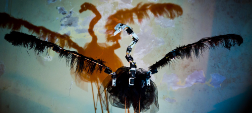 [cisne[9].png]