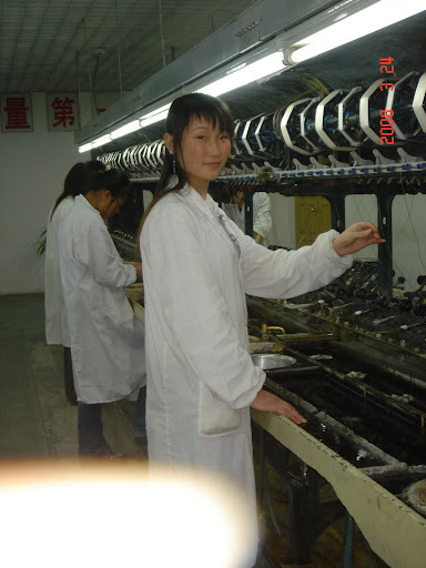 The Hong Kong Silk Company
