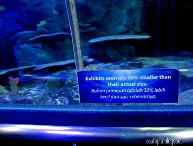 aquaria 138