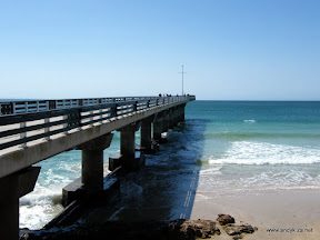 DSCF3207.JPG