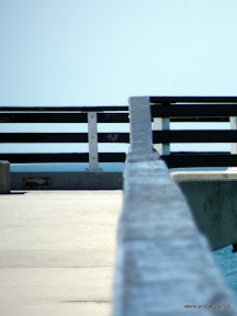 DSCF3224.JPG