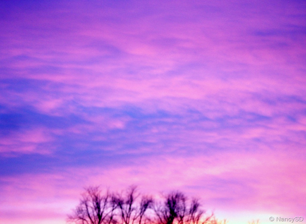 [Nov sky 5 pink[45].jpg]