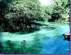 bonito09