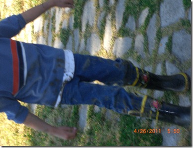 CIMG2619 CIMG2619