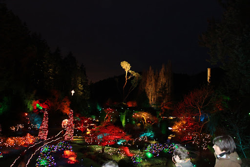 The Sunken Garden at night
