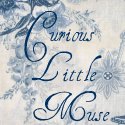 Curious Little Muse