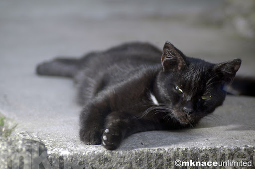 ©2010mknaceunlimited