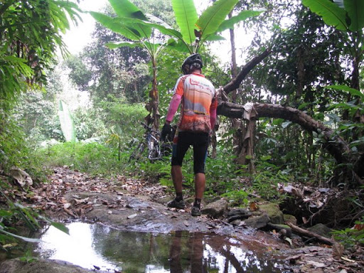 รูปภาพ