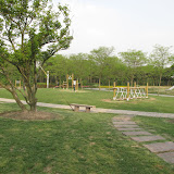 IMG_0504.JPG