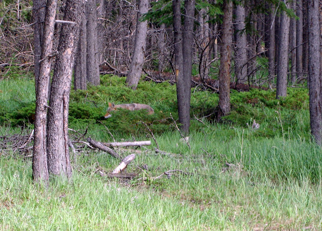 DSC03165.JPG
