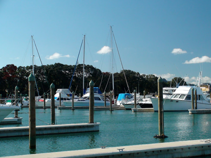 DSC06201.JPG