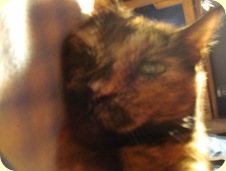 DSC03575 DSC03575
