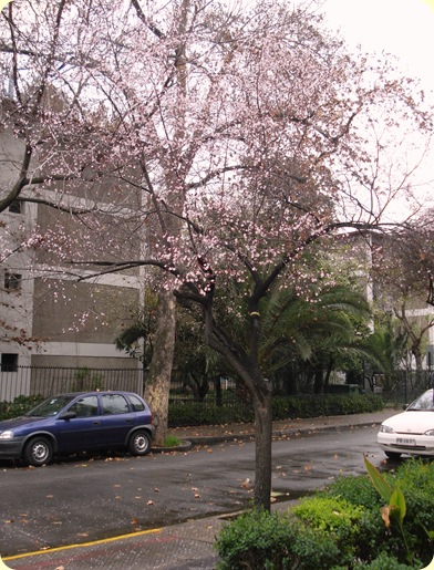 DSC05084