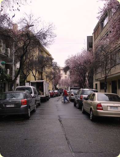 DSC05078