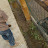 DSC02613.JPG