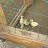 DSC02629.JPG