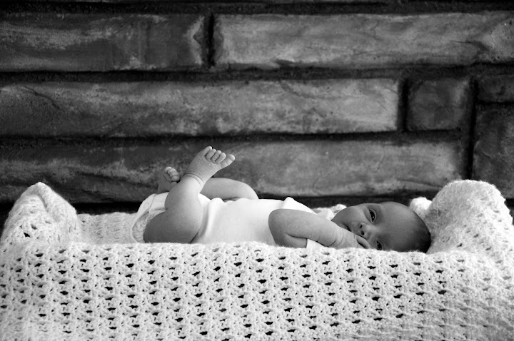 This little gal is photo 1998151-1