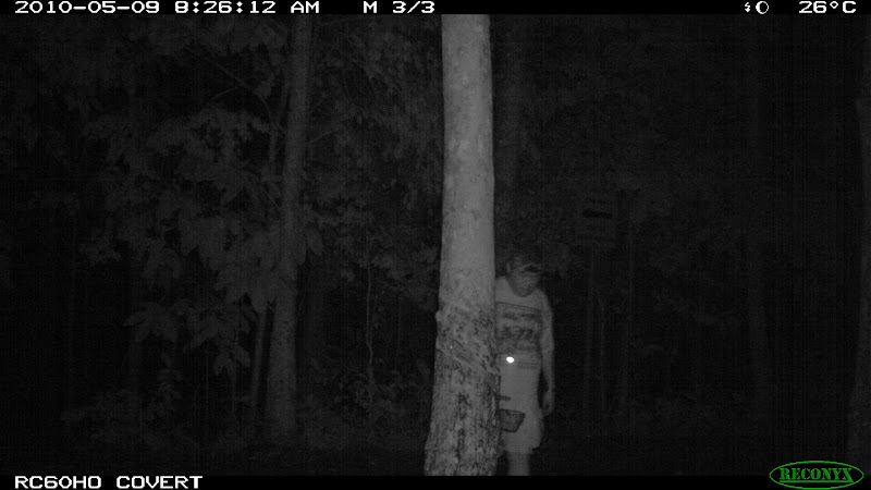 Trail camera picture