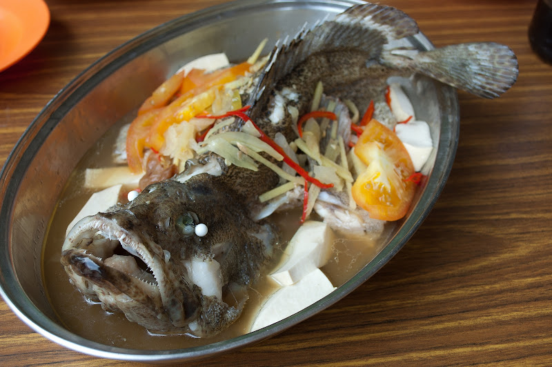 Grouper caught at Marman river