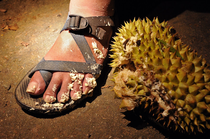 durian