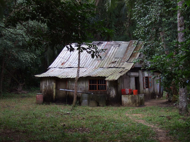 Shrek house