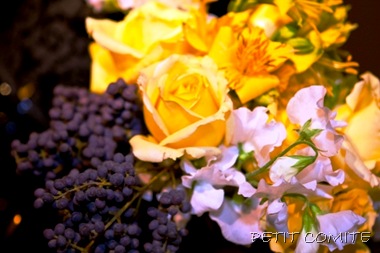 JMB_0005 JMB_0005