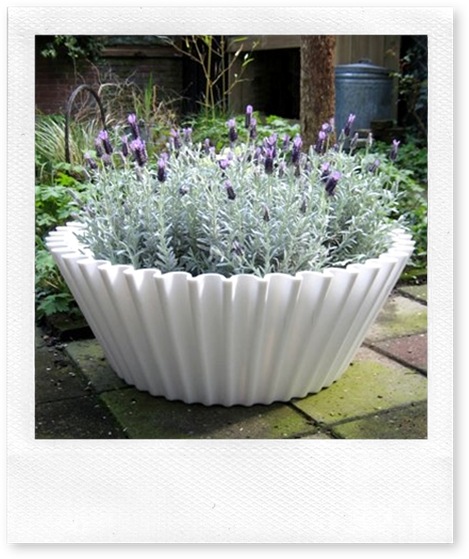 sweetcakewhitegardenboxlaverder_p4