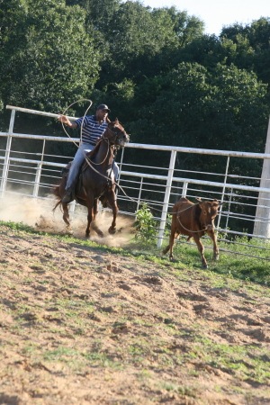 [IMG_1458_2_1[5].jpg]