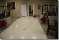 IMG_2796 IMG_2796