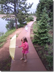 CatamountReservoir_20090705 031