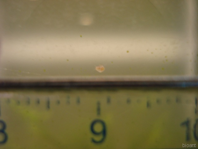 [Image.jpg]
