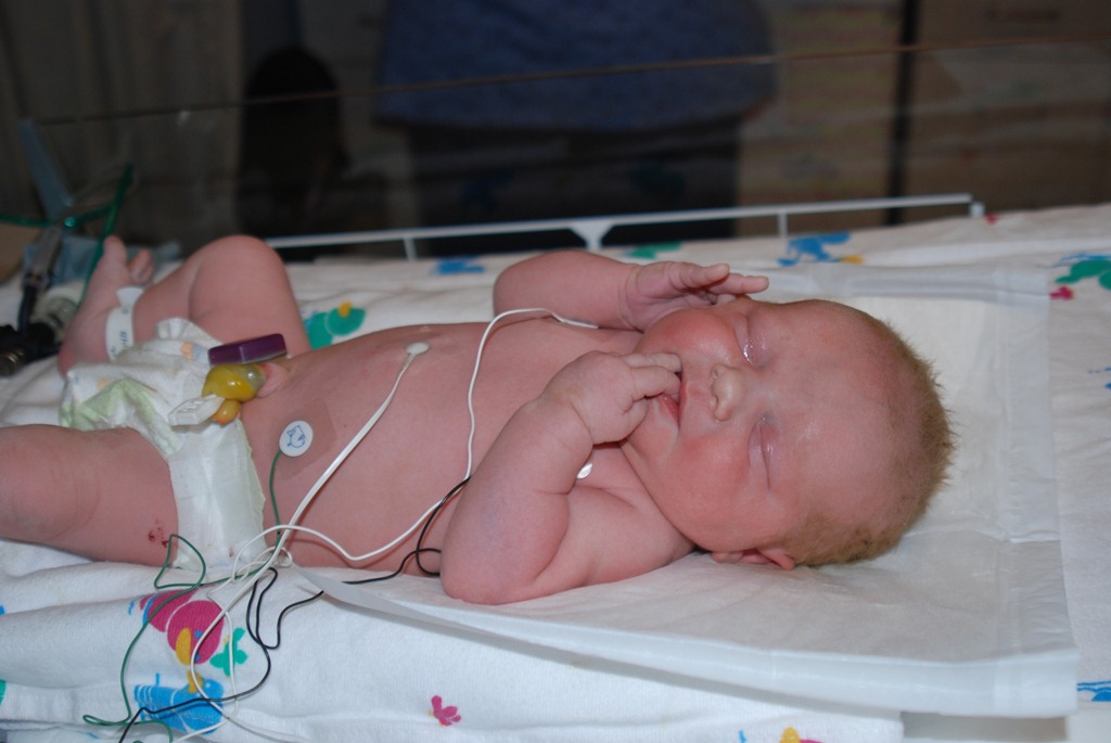 [DSC_0013[5].jpg]