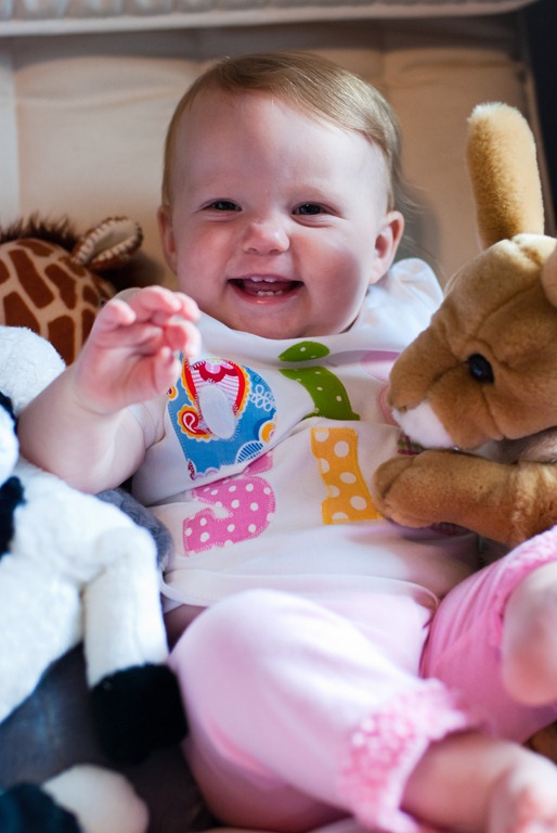 [DSC_0095[8].jpg]