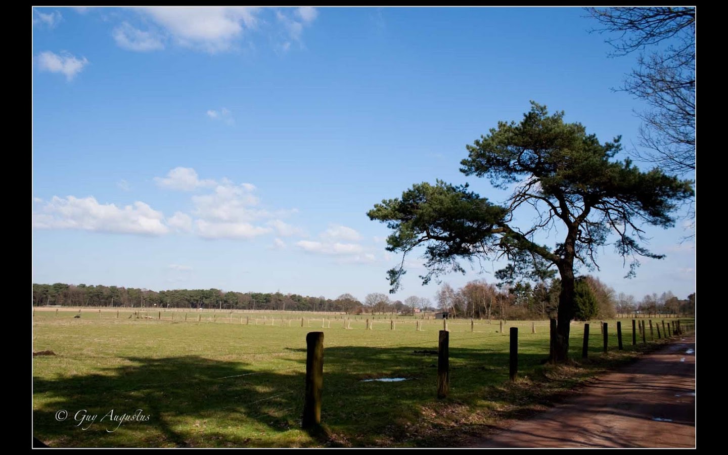 argazkia Westmalle boswandeling 9.5km