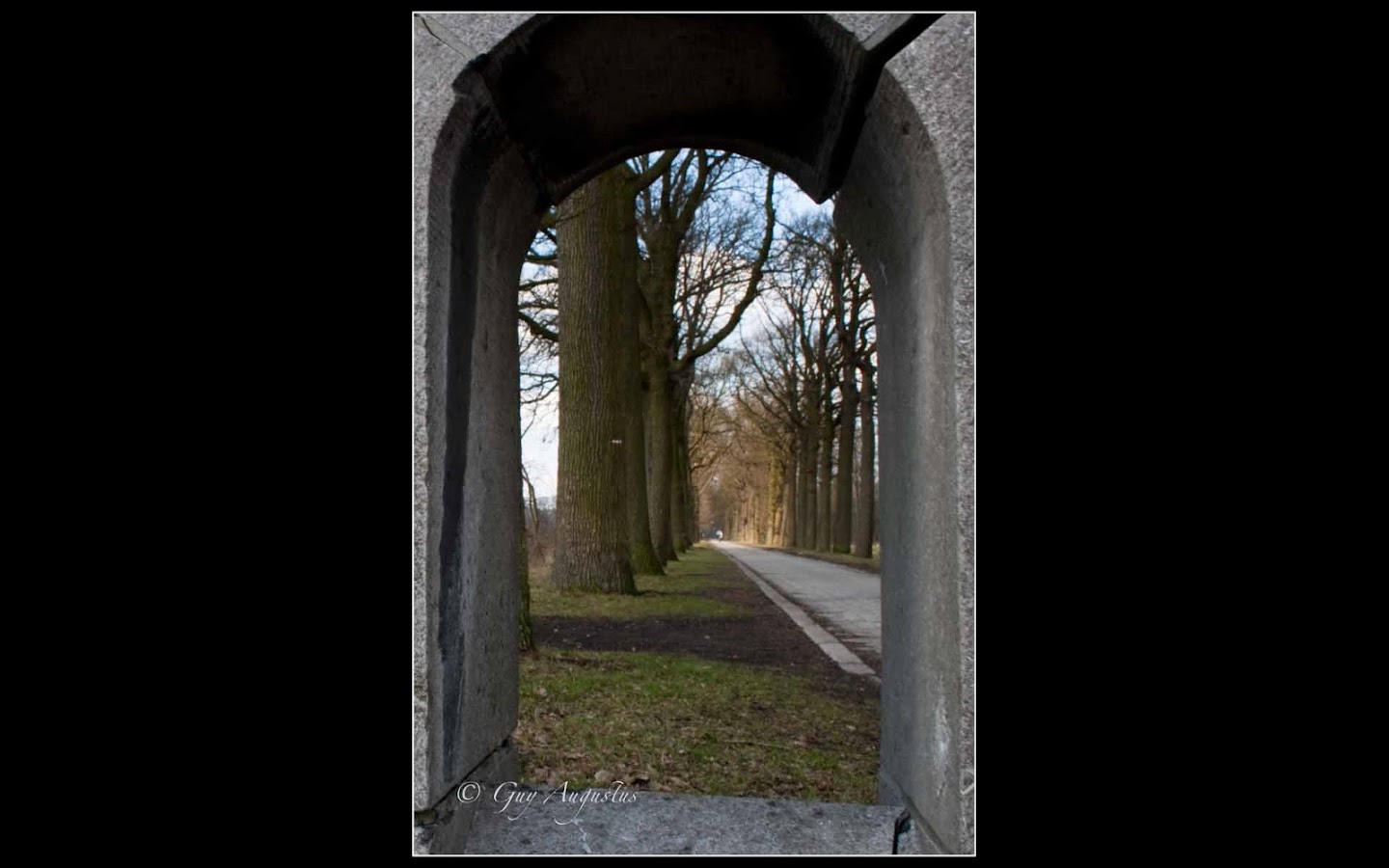 argazkia Westmalle boswandeling 9.5km