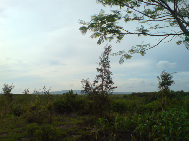 Ngagaan