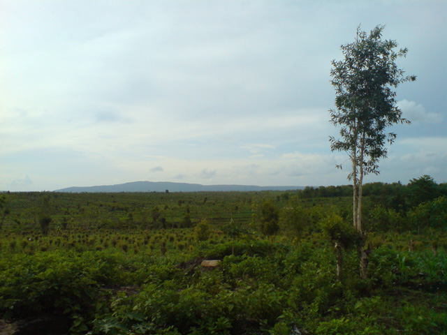 Nggagaan 02
