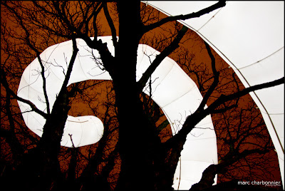 arbres et lumières 2010  - la ligne-1.jpg