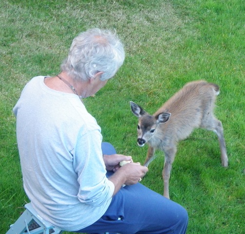 [Heathers deer 169[4].jpg]