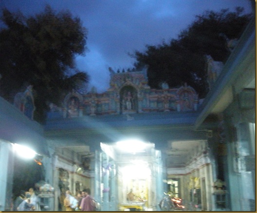 DSCN1999 DSCN1999