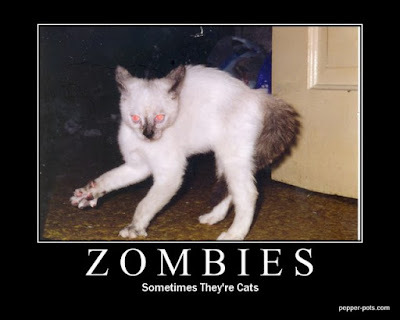 Zombie Cats! Zombie Cats!