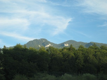 IMG_1279 IMG_1279