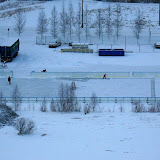 Hiirihaukan kanssa kilpasilla