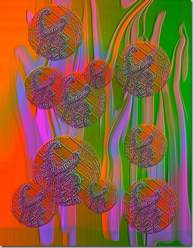 sundew circles