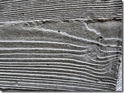 Oriel Mostyn 074