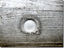 Oriel Mostyn 080